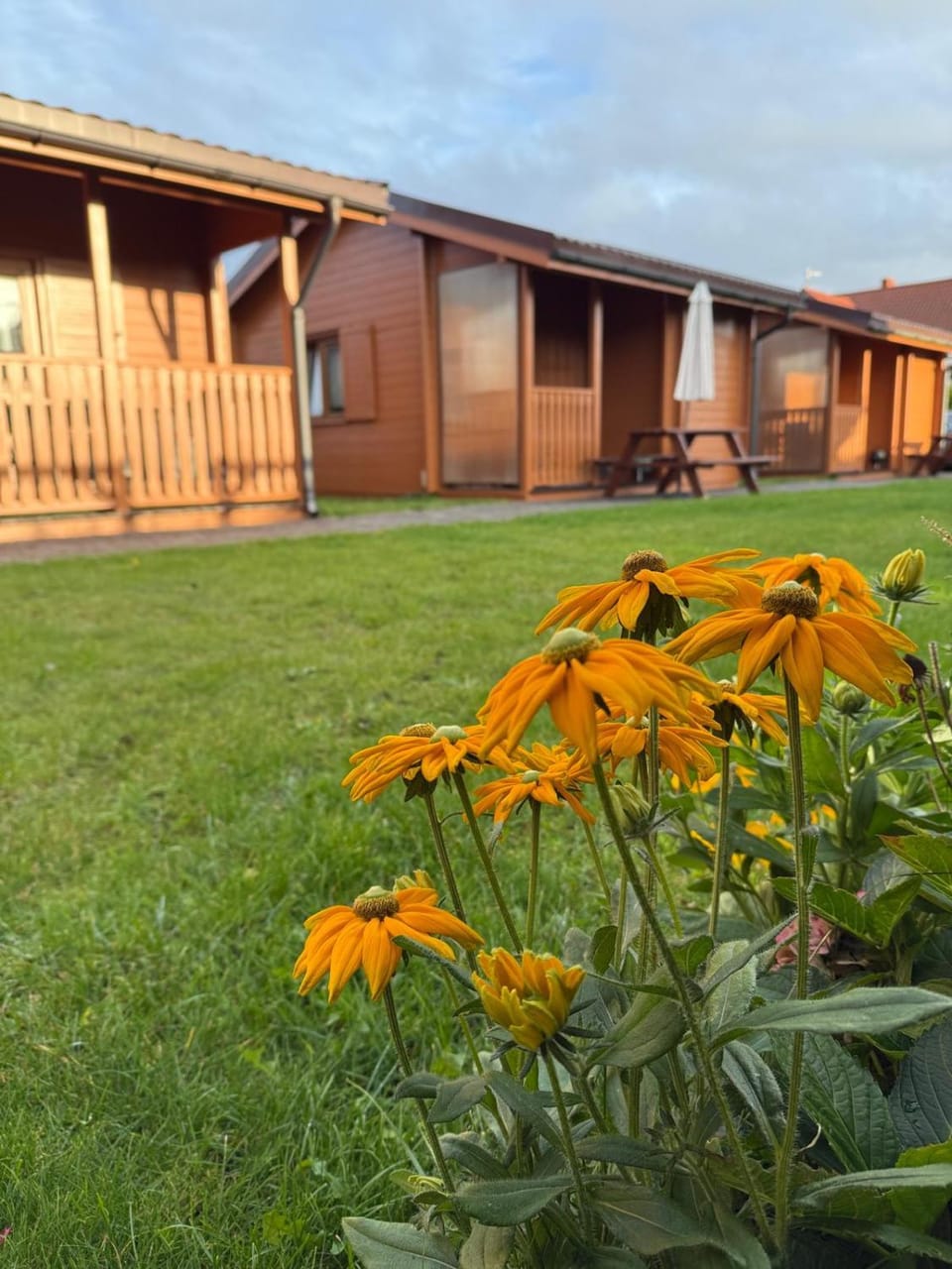 Czemu nie Campground/ 
RV Resort in West Pomeranian Voivodeship, Poland