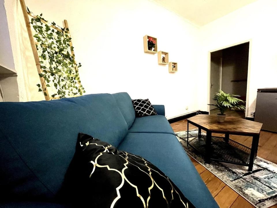 Le Zola Apartment in Dijon