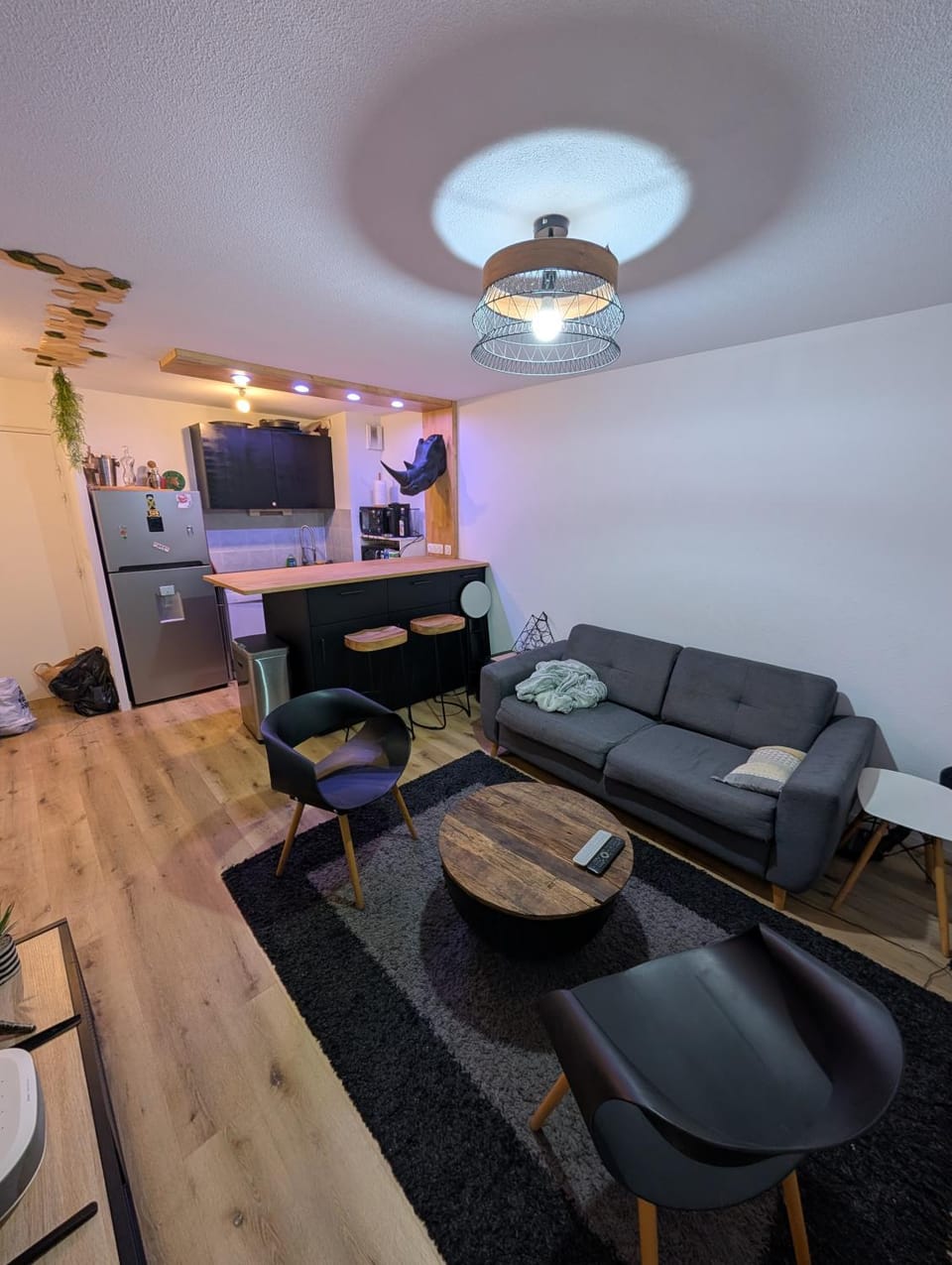 Appartement T2 Apartment in Toulouse