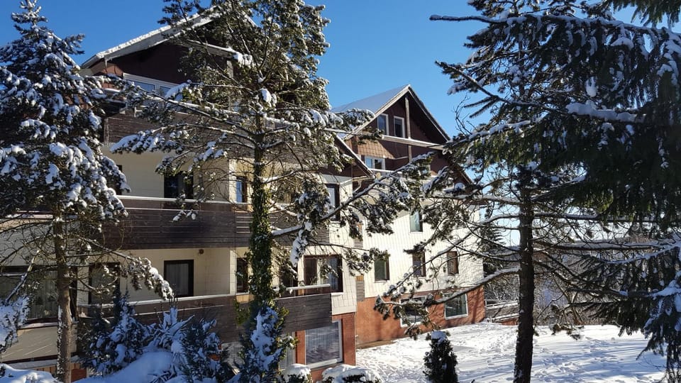 Property building, Winter