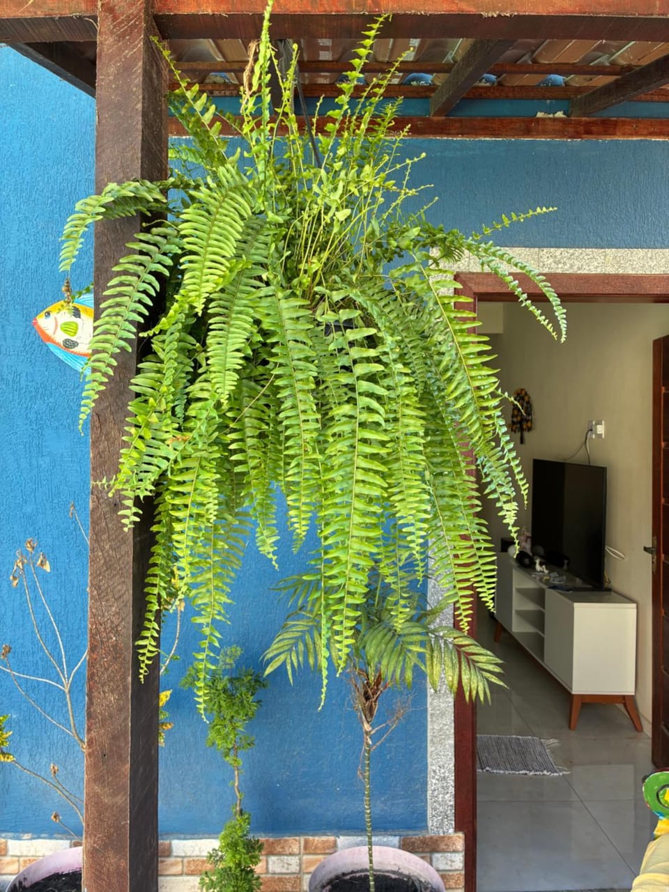 Linda casa em Unamar House in Cabo Frio