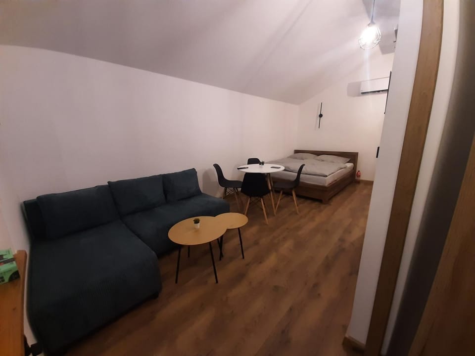 Bed, Living room, Photo of the whole room, Seating area, Bedroom