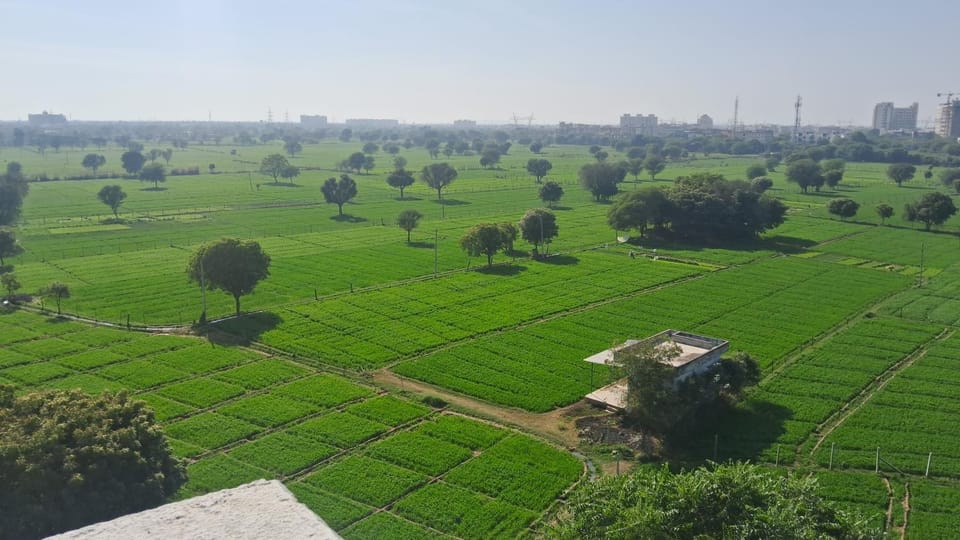 Natural landscape, Garden view