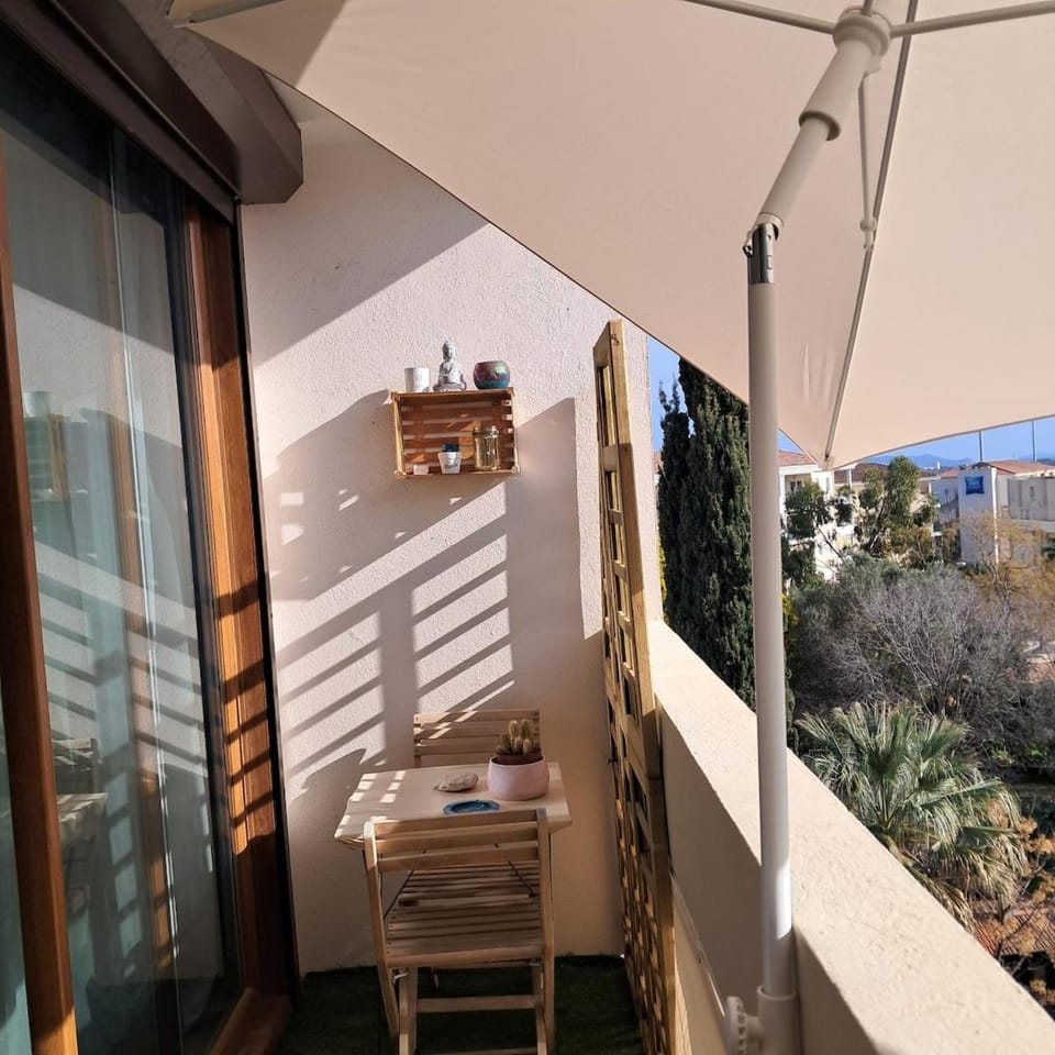 Beautiful air-conditioned apartment with balcony Apartment in Hyères