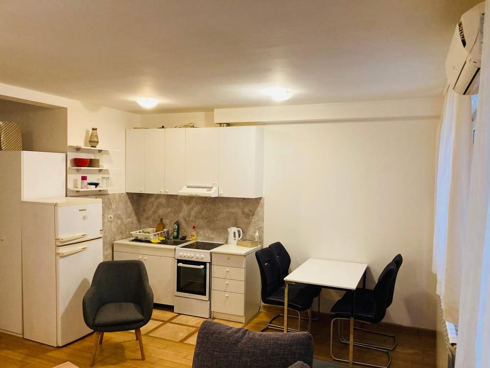 Apartman Vračar Apartment in Belgrade