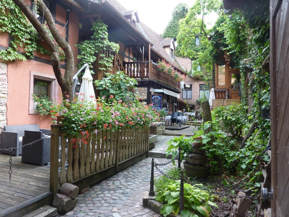 Garden view
