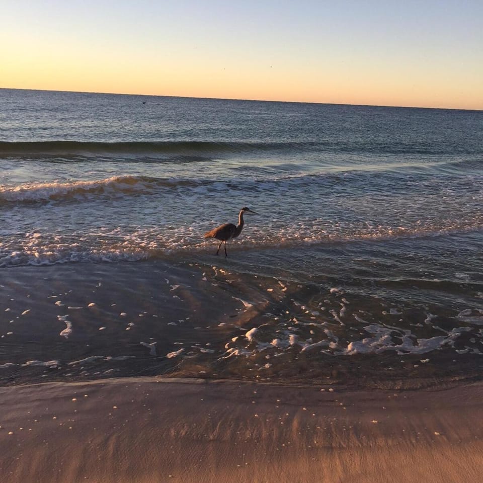 Gulf Shores Barefoot Bliss Apartment in West Beach