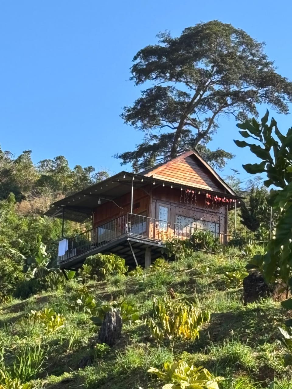 Căn gentle home Chalet in Dalat