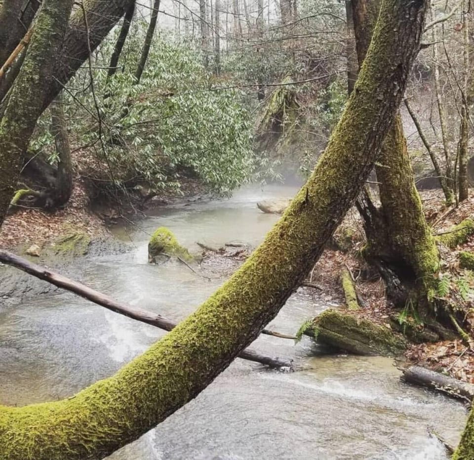 Big Boulder-Hot Tub, WiFi, Firepit, Arcade, Hiking House in Kentucky