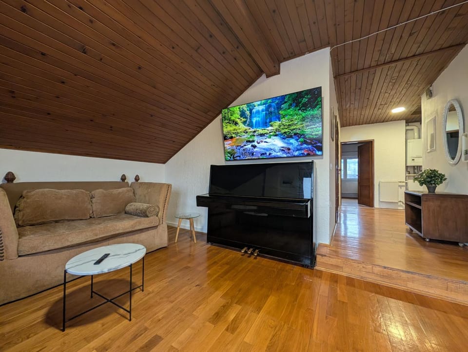 Spacious Condo w Terrace & Piano Apartment in Slovenia
