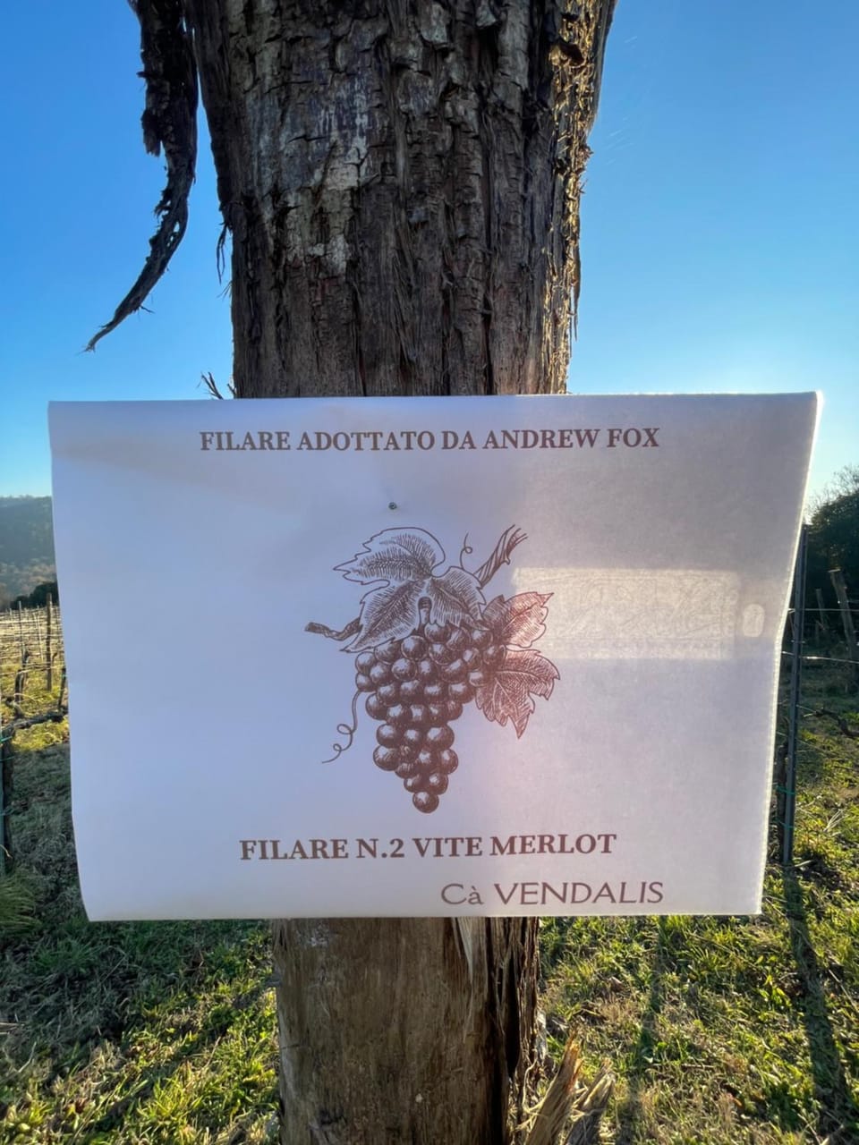 Logo/Certificate/Sign