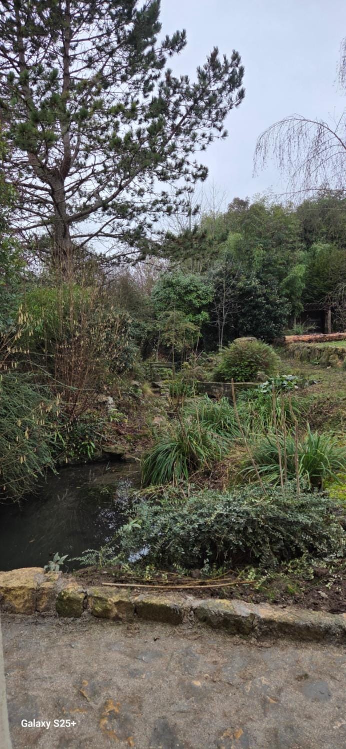 Day, Natural landscape, Garden, Garden view