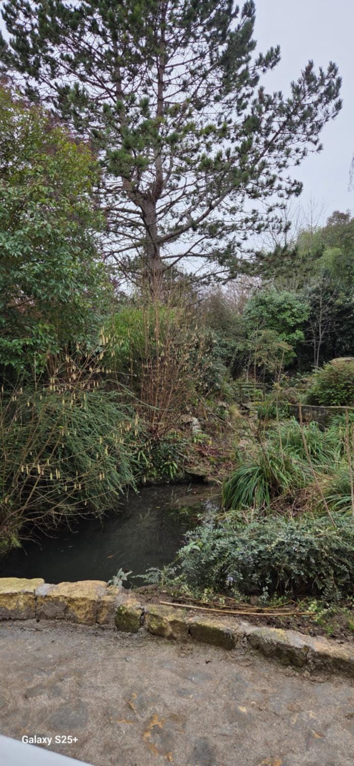 Day, Garden, Garden view