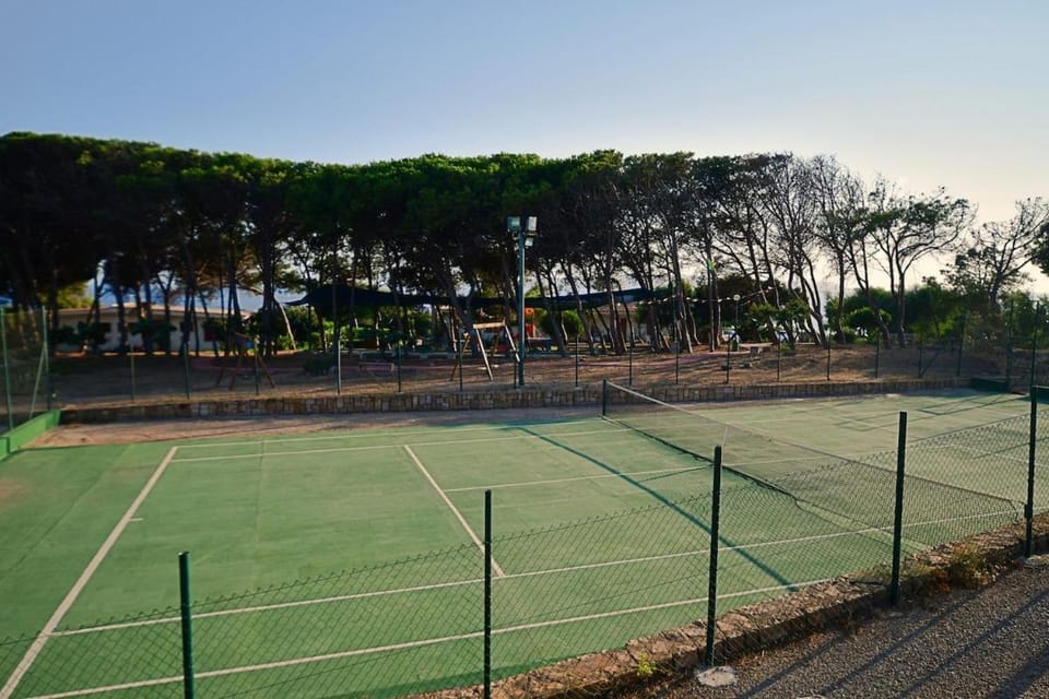 Tennis court