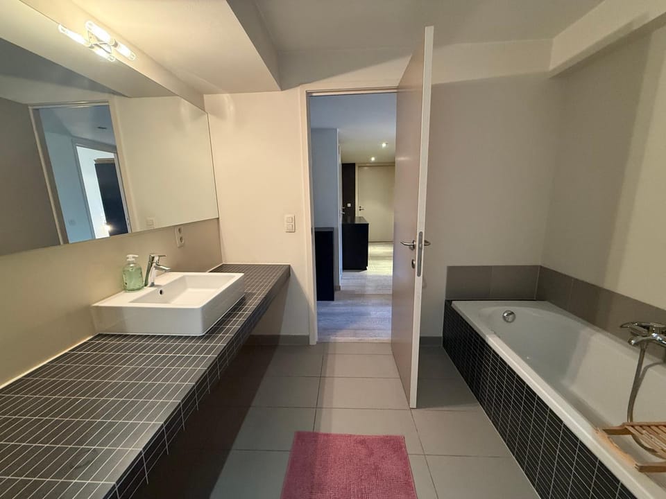 Apartment with 2 Bedrooms - Sleeps 6 Apartment in Brussels
