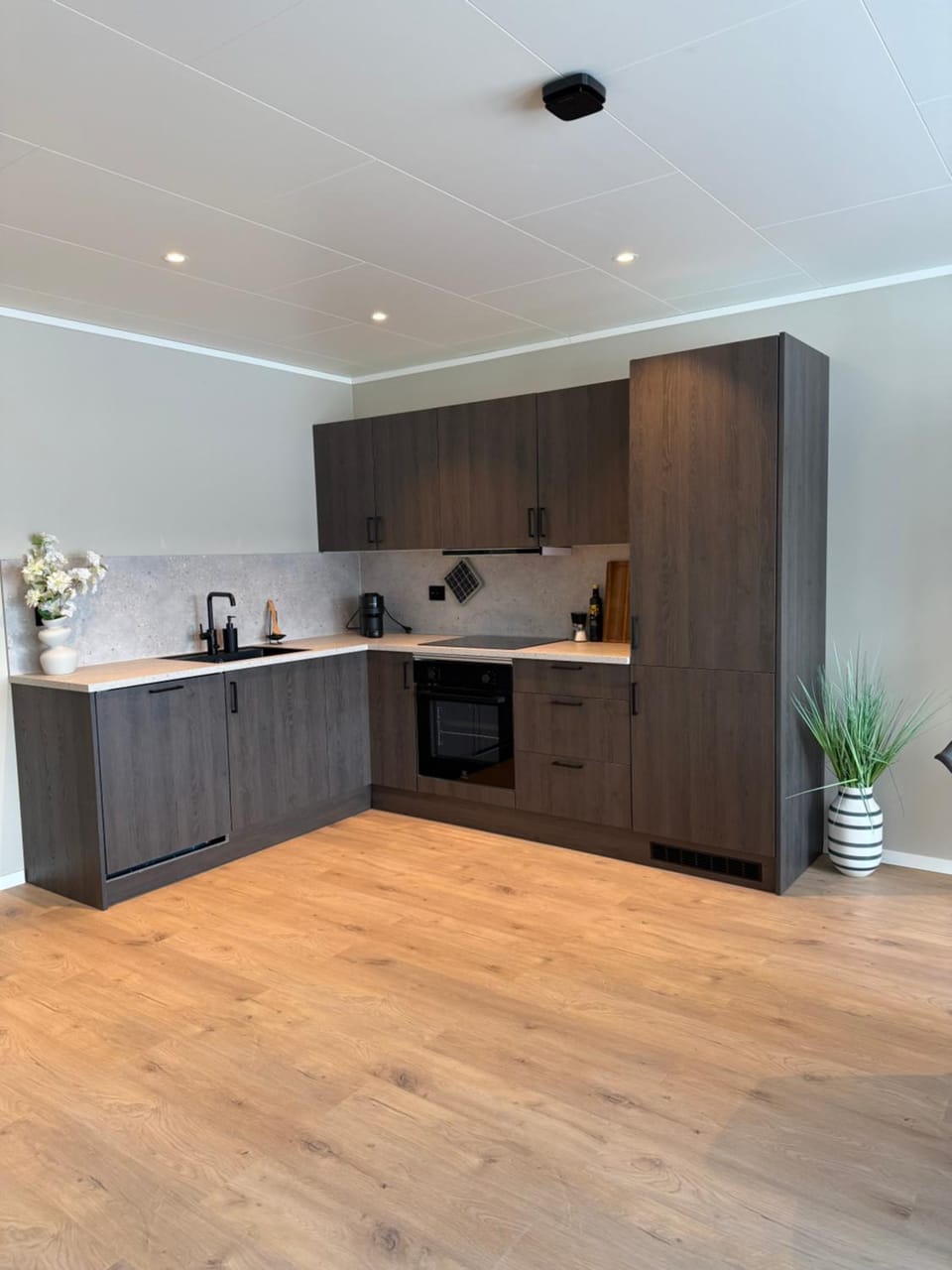 Experience Senja Apartment in Nordland, Norway