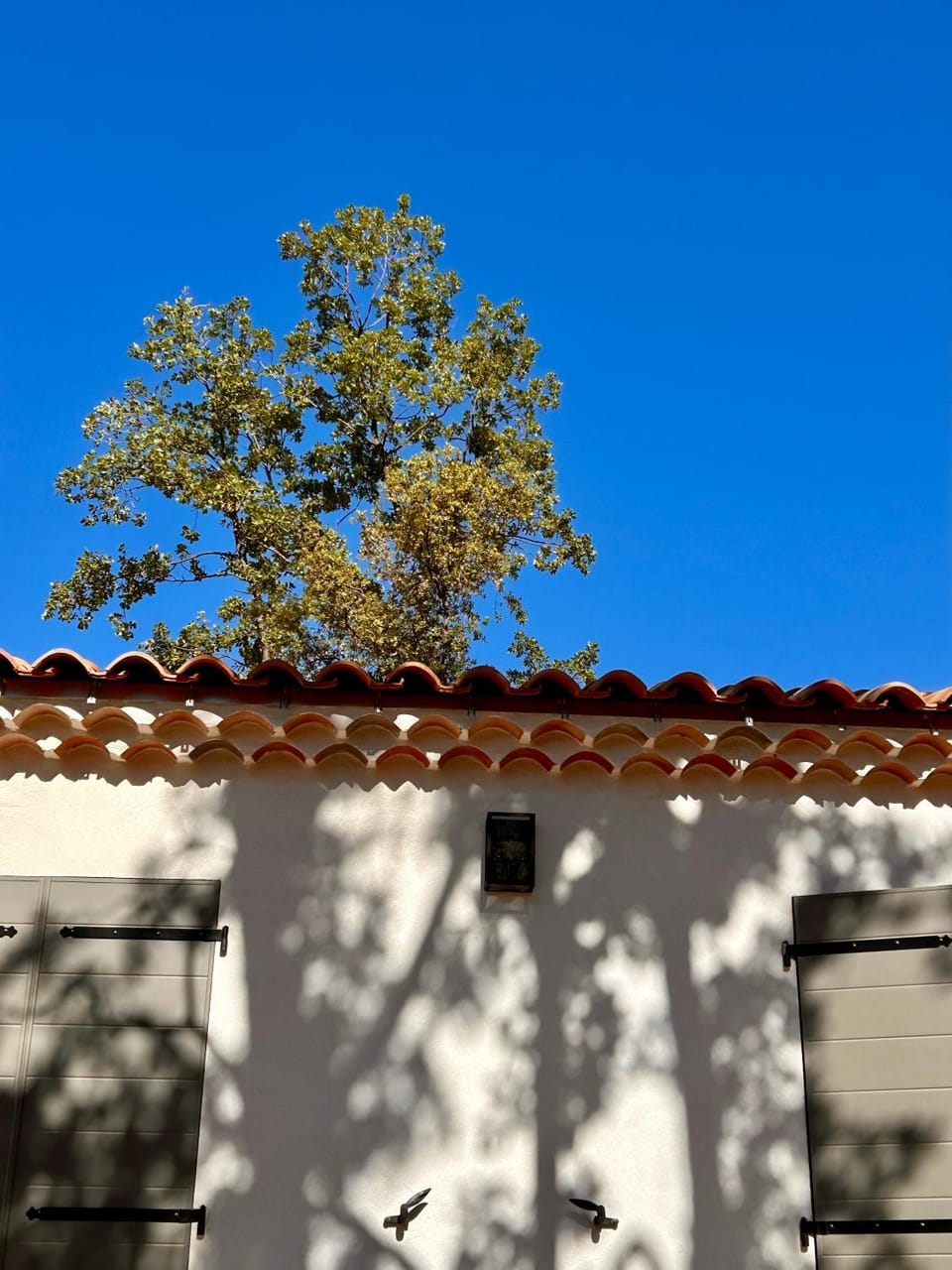 Property building, Garden