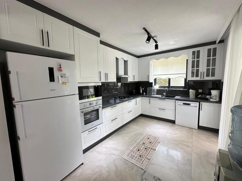 Kitchen or kitchenette, dishwasher, oven, stove