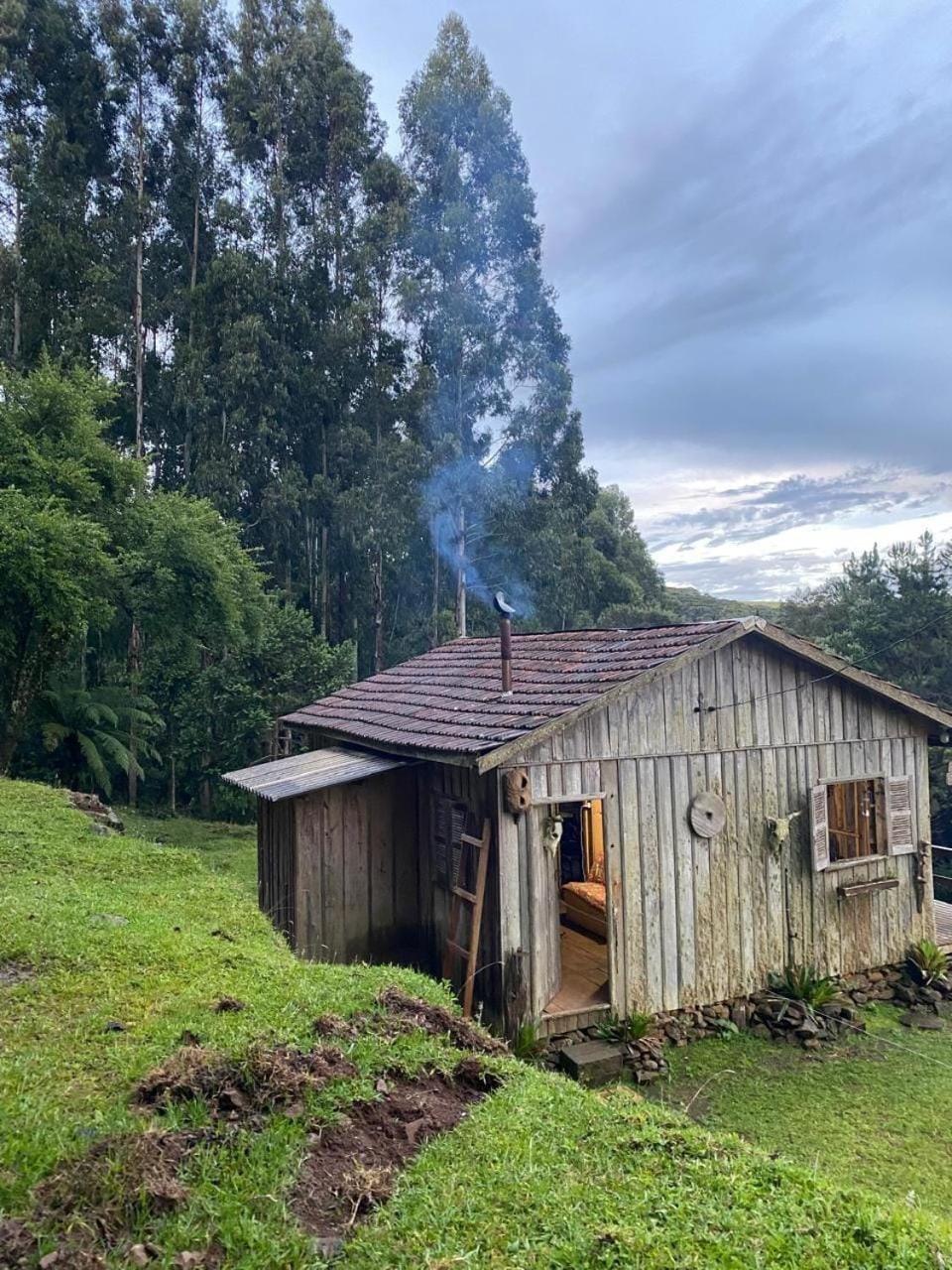 Rancho leão baio House in State of Santa Catarina