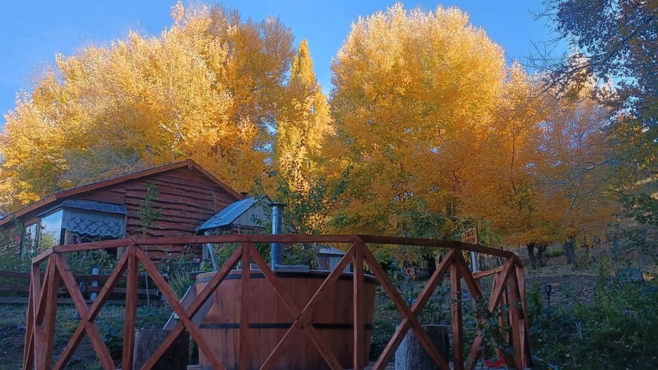 Cabaña Rakin Guilliw Apartment in Araucania, Chile