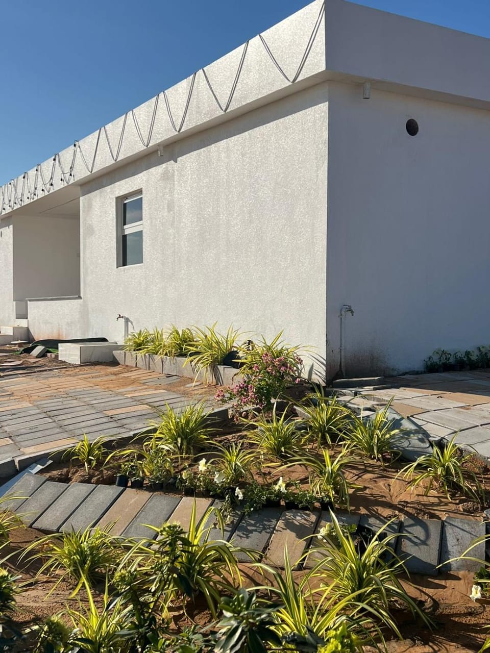 New 3bhk kidsplayground orchid farm resort farm house ras al khaima Villa in Ras al Khaimah