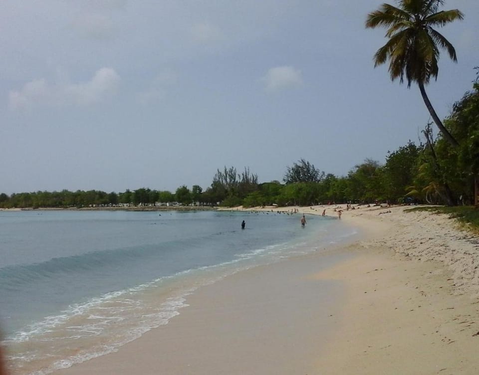 Man silly Apartment in Grande-Terre, Guadeloupe
