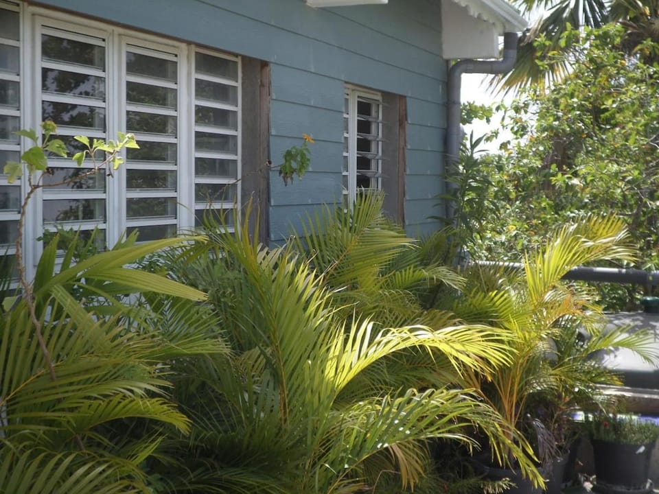 Man silly Apartment in Grande-Terre, Guadeloupe