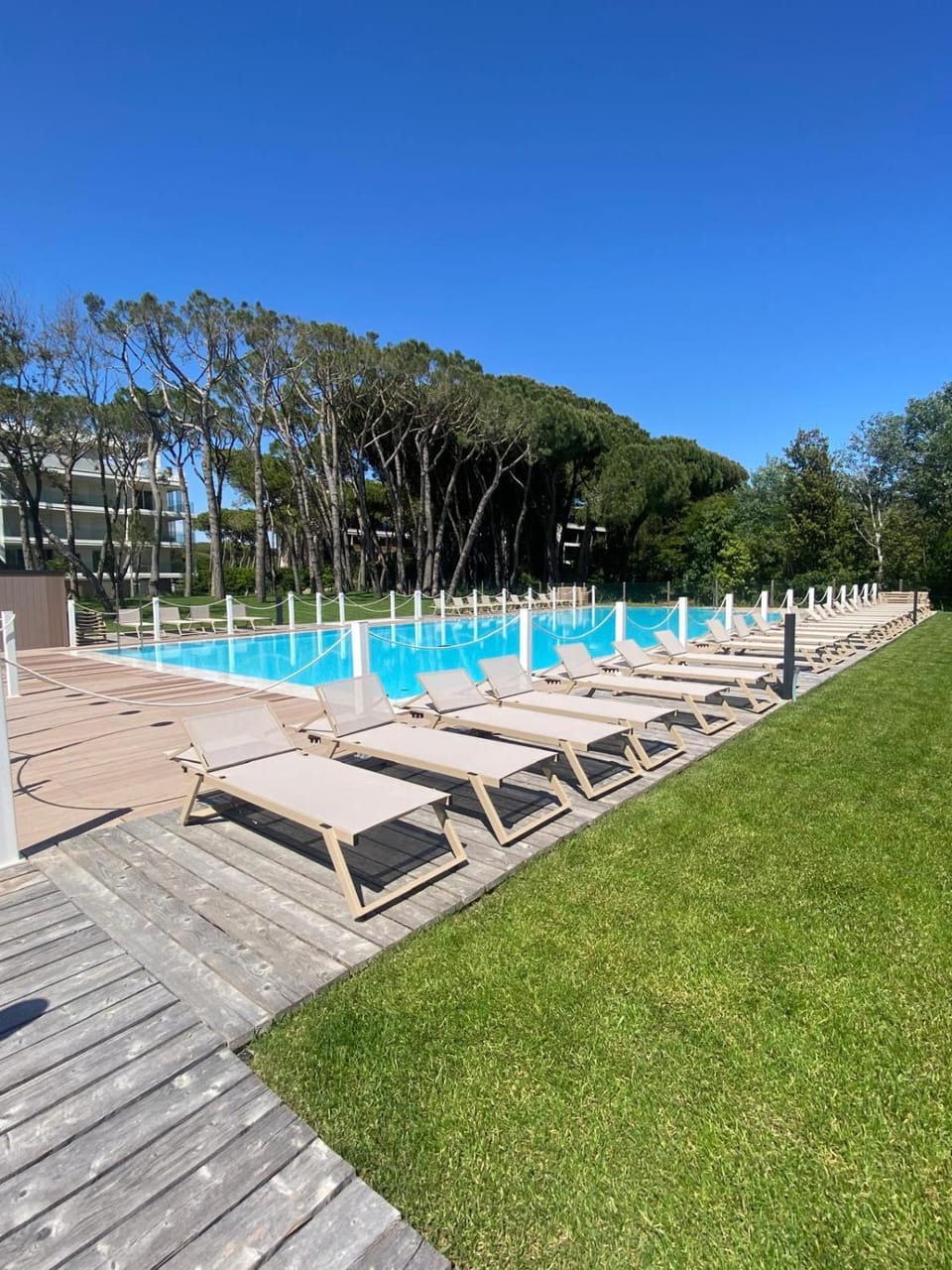 Swimming pool, sunbed