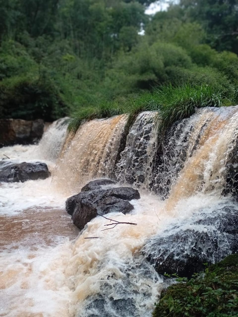 Chacra Mariposas House in Misiones Province, Argentina
