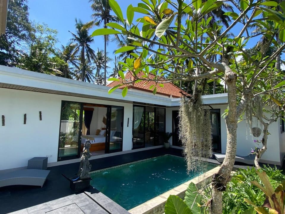 Ubud-Villa 2 bedrooms & private pool and coconut grove Villa in Sukawati