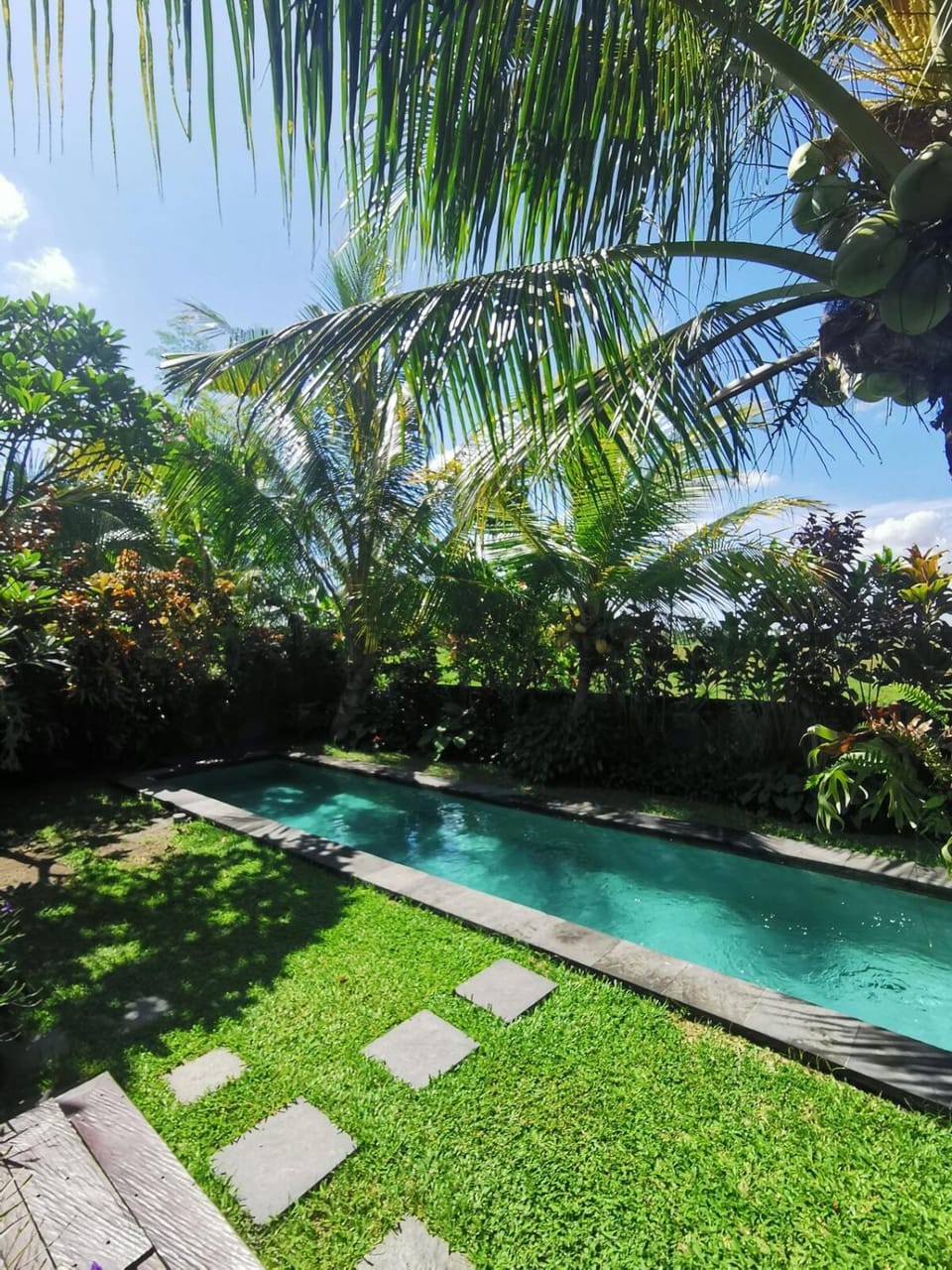 Ubud Villa, 3 Bdr beautiful rice fields view & pool Villa in Abiansemal