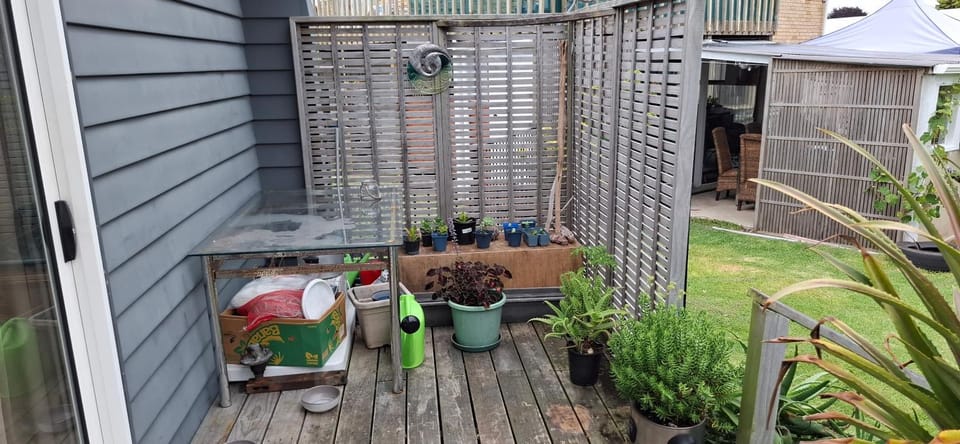 Private cabin Cabin in Whitianga
