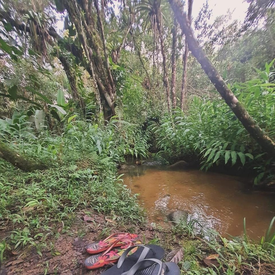 River view