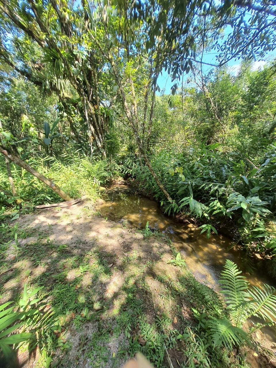 Natural landscape, Garden view