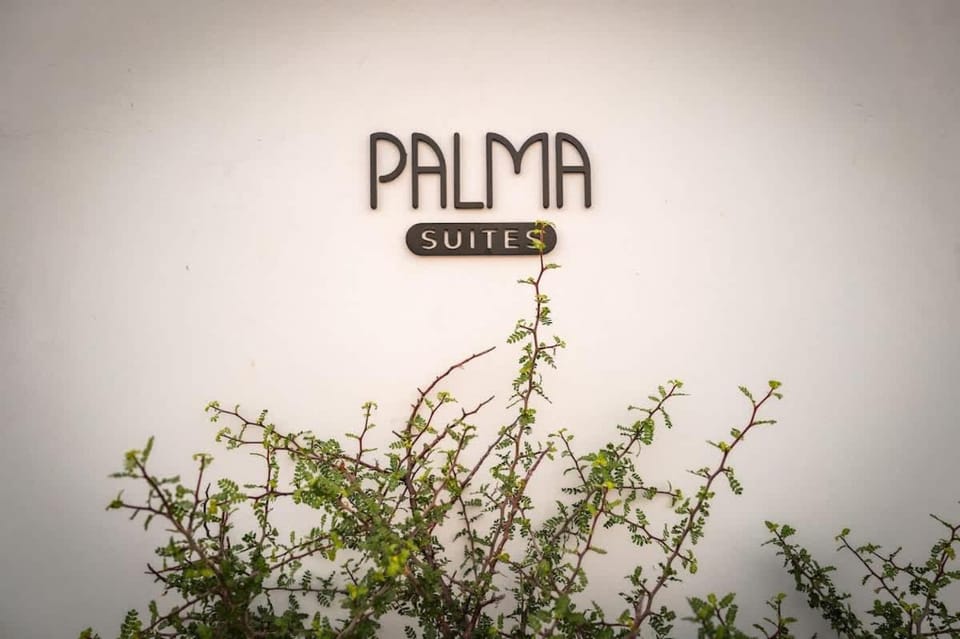 Palma Suite 203 Housekeeping Parking & Pool Apartment in La Paz