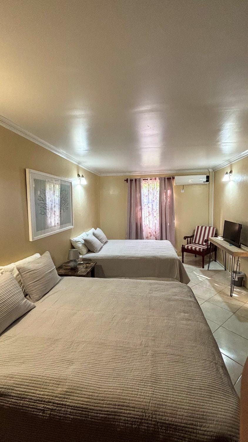 Venance Grand-Yer 1 bed Apartment #2 Apartment in Caribbean