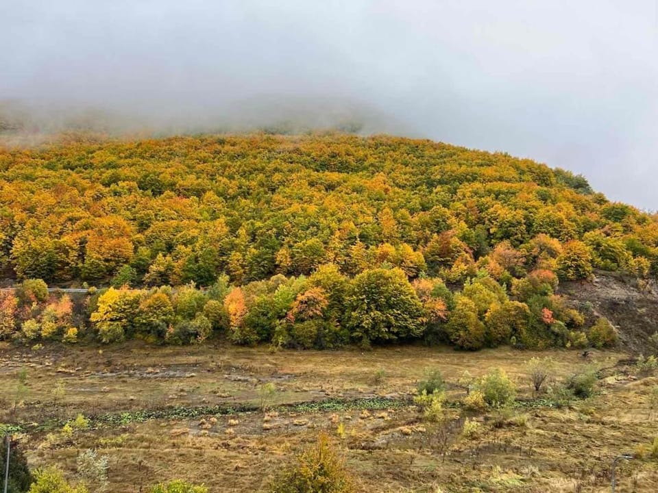 Vila Davidoski Villa in North Macedonia