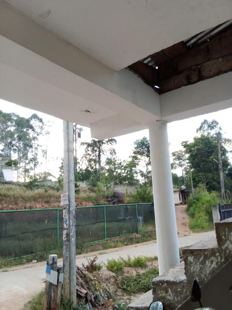 Day, Garden view