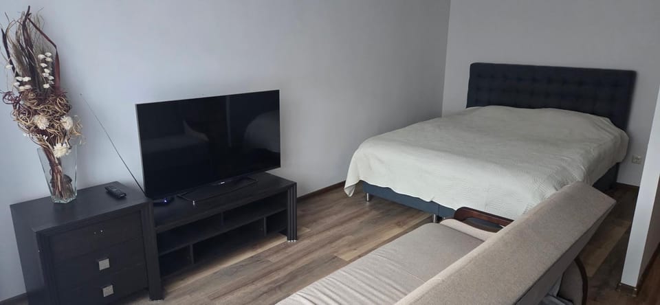 Studio Ap Apartment in Lithuania