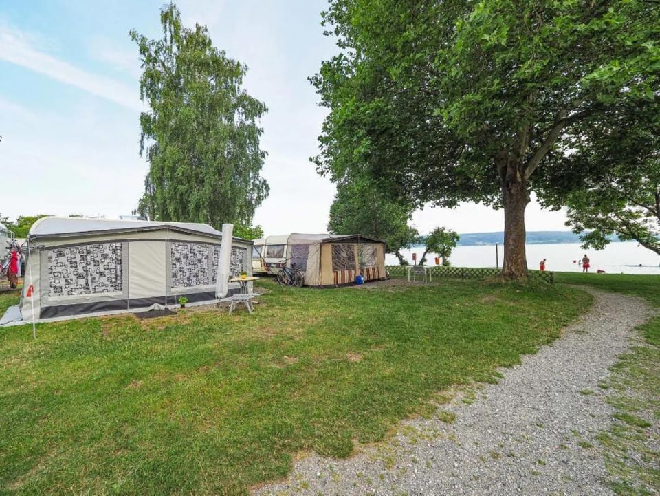 Spring, Lake view