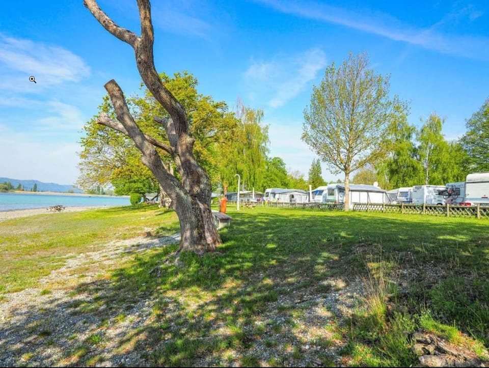 Lake view, Location