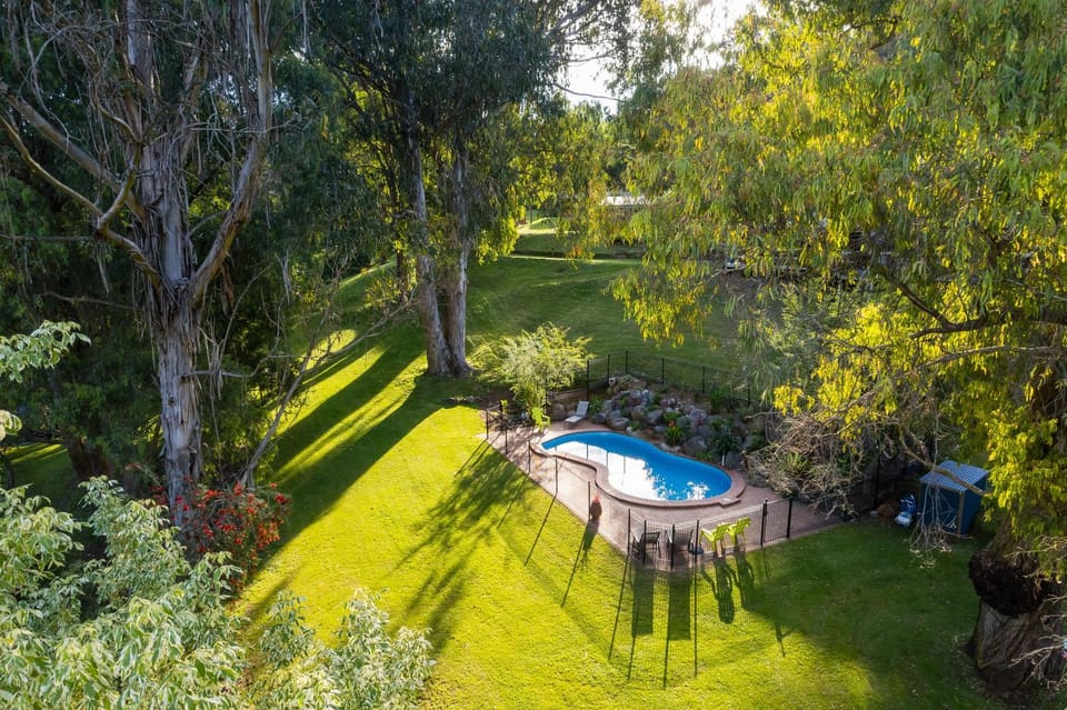 Natural landscape, Bird's eye view, Garden, Swimming pool, Swimming pool