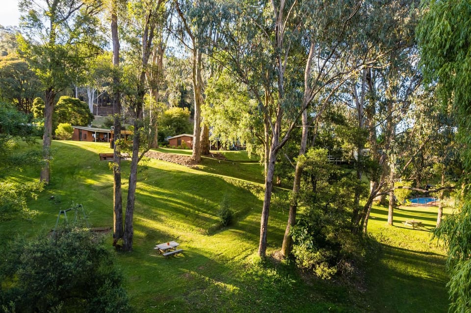 Natural landscape, Bird's eye view, Garden, Garden view, Swimming pool, Swimming pool