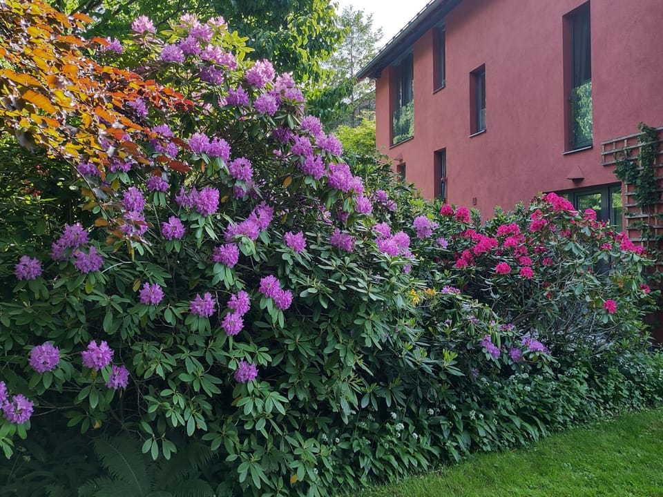 Property building, Spring, Garden, Garden view