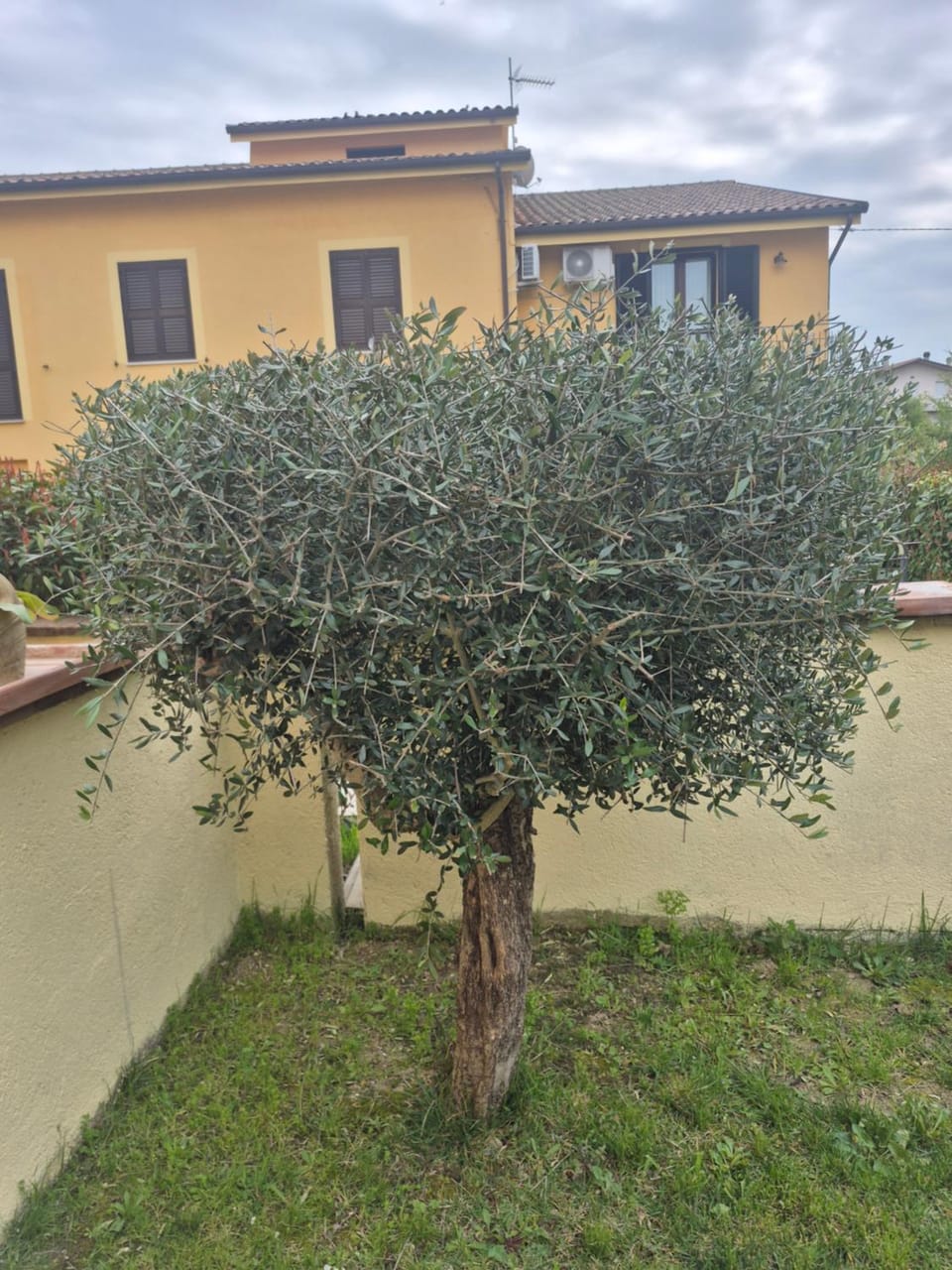 House Barbanera Apartment in Spello