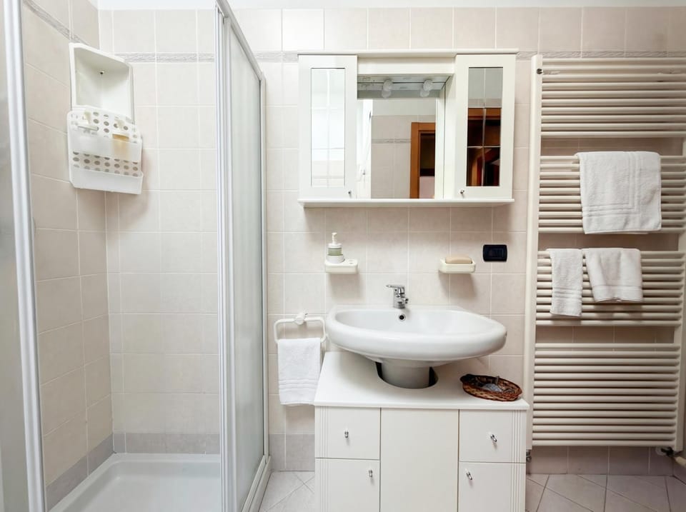 Shower, Bathroom, towels