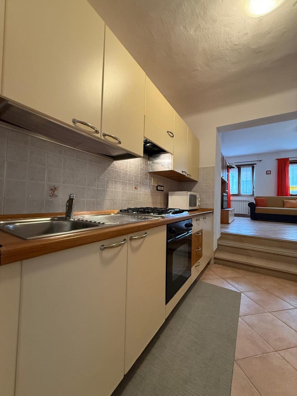 Living room, kitchen