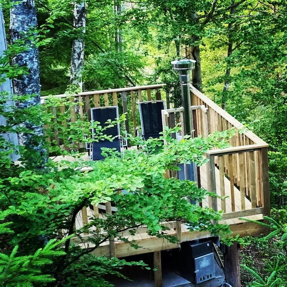 Treehouse Stay with Wood-Fired Hot Tub & Nature! House in Sweden