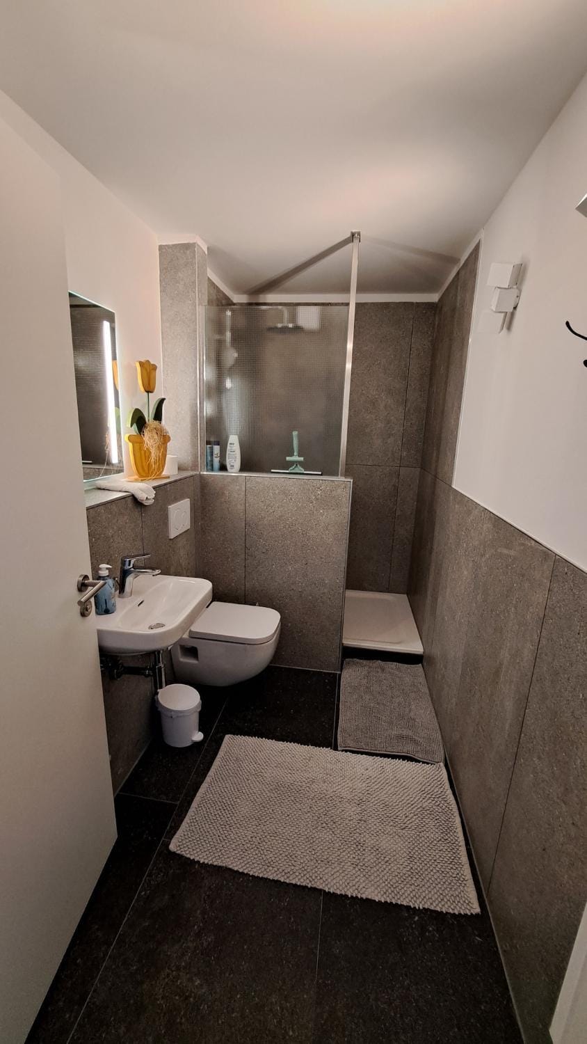 Shower, Toilet, Bathroom
