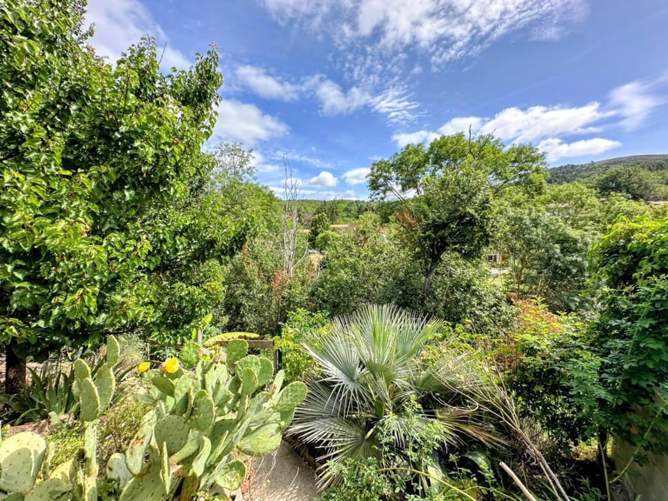Spring, Natural landscape, Garden, Garden view